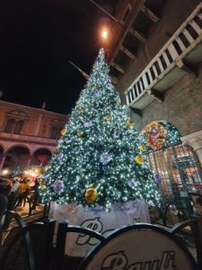 9 Albero a verona