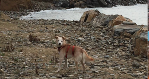 3 duke in spiaggia